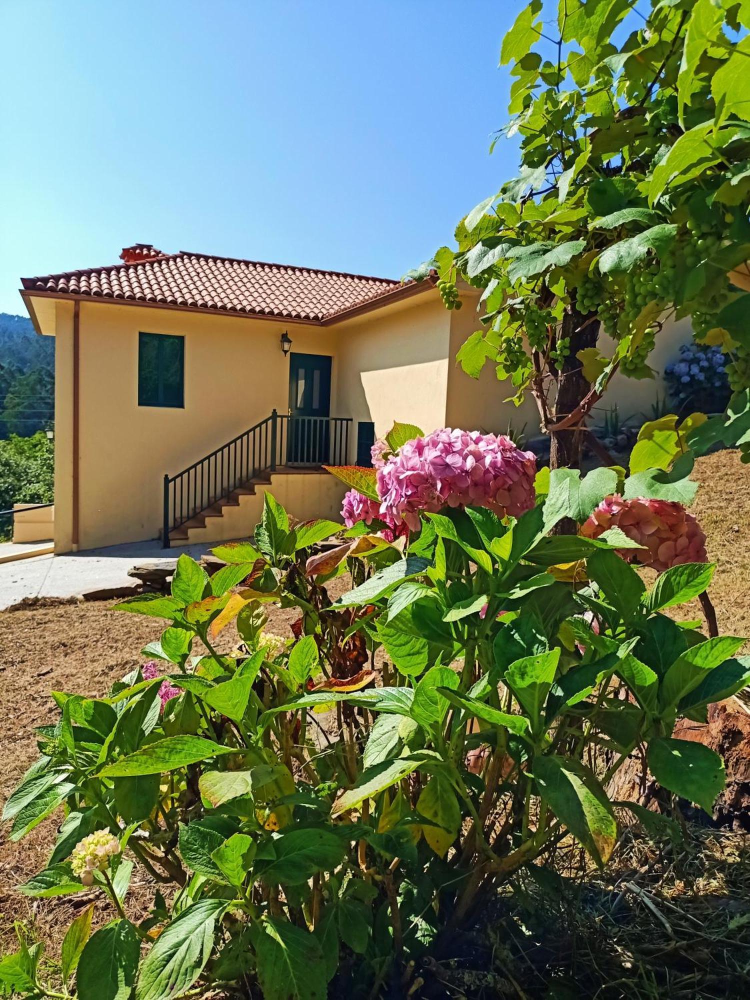 Villa A Casa Do Porto Cerca De Cedeira Y De La Playa De Pantin à Valdoviño Extérieur photo